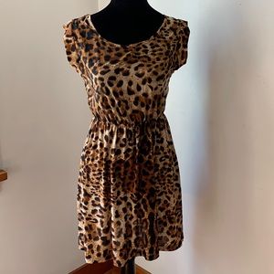 Leopard Print Skater Dress
